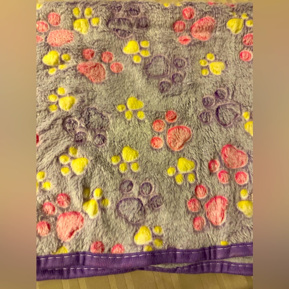 NWT untitled blanket in size small very soft, but read dimensions